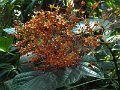 DSCF0673