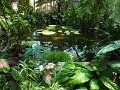 DSCF0674