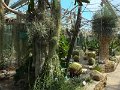 DSCF0693