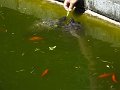 DSCF0701