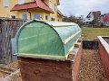Fruehbeet (4 von 4)