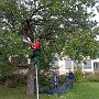 (01) Apfel
