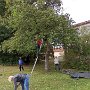 (03) Apfel